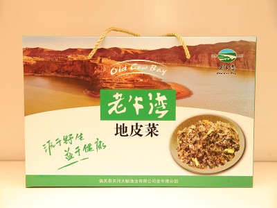 地皮菜