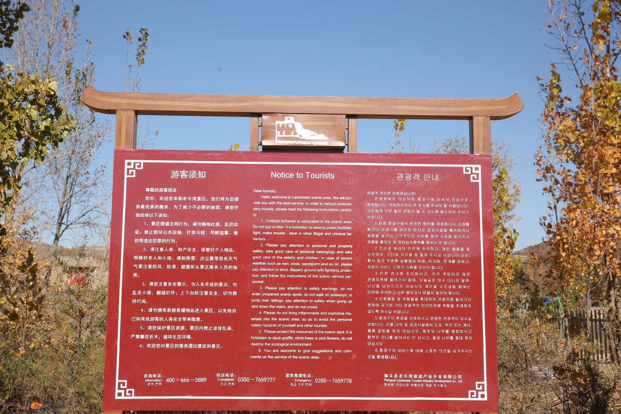 1605523091623509.jpg